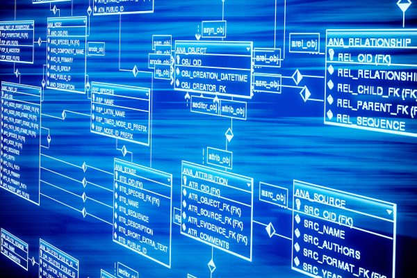 Database table